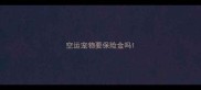 空运宠物要保险金吗