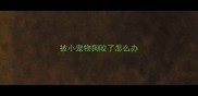被小宠物狗咬了怎么办