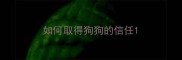如何取得狗狗的信任