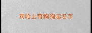帮哈士奇狗狗起名字