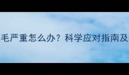 猫咪春季掉毛严重怎么办科学应对指南及护理全攻略