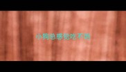 小狗总感觉吃不饱
