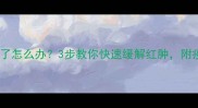 狗狗打疫苗后腿肿了怎么办3步教你快速缓解红肿附疫苗后护理全攻略