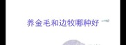 养金毛和边牧哪种好