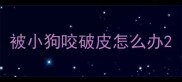 被小狗咬破皮怎么办
