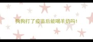 狗狗打了疫苗后能喝羊奶吗
