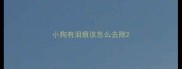 小狗有泪痕该怎么去除