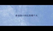 泰迪微小和玩具哪个大