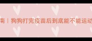 疫苗后科学运动指南狗狗打完疫苗后到底能不能运动附详细护理手册