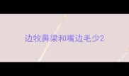 边牧鼻梁和嘴边毛少