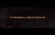 犬只笼养便秘的三大诱因及专业解决方案