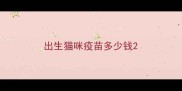 出生猫咪疫苗多少钱