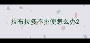 拉布拉多不排便怎么办