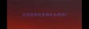 正宗拉布拉多有什么特点