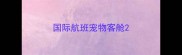 国际航班宠物客舱