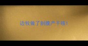 边牧做了剖腹产干咳