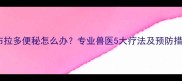 拉布拉多便秘怎么办专业兽医5大疗法及预防措施