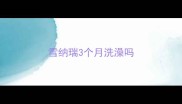 雪纳瑞3个月洗澡吗