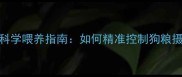 边境牧羊犬2月龄科学喂养指南如何精准控制狗粮摄入量与营养配比