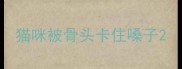 猫咪被骨头卡住嗓子
