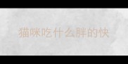 猫咪吃什么胖的快