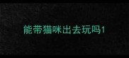 能带猫咪出去玩吗
