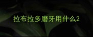 拉布拉多磨牙用什么