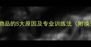 金毛犬频繁啃咬物品的5大原因及专业训练法附换牙期护理指南