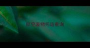 航空宠物托运查询