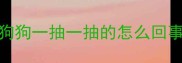狗狗一抽一抽的怎么回事