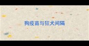 狗疫苗与狂犬间隔