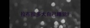 拉布拉多犬自己睡觉