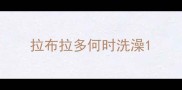 拉布拉多何时洗澡