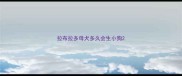 拉布拉多母犬多久会生小狗