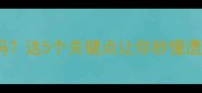 边牧蓝眼正常吗这5个关键点让你秒懂遗传与健康隐患