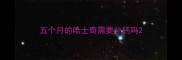 五个月的哈士奇需要补钙吗