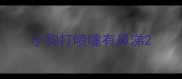 小狗打喷嚏有鼻涕