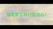 猫需要定期打疫苗么