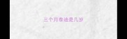 三个月泰迪是几岁