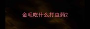 金毛吃什么打虫药