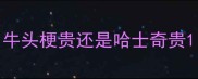 牛头梗贵还是哈士奇贵