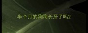 半个月的狗狗长牙了吗