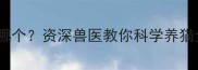 猫驱虫和疫苗到底先做哪个资深兽医教你科学养猫全流程附注意事项