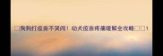 狗狗打疫苗不哭闹幼犬疫苗疼痛缓解全攻略