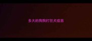 多大的狗狗打狂犬疫苗