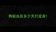 狗驱虫后多少天打疫苗
