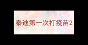泰迪第一次打疫苗