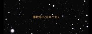 德牧怎么分几个月