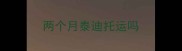 两个月泰迪托运吗