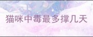 猫咪中毒最多撑几天